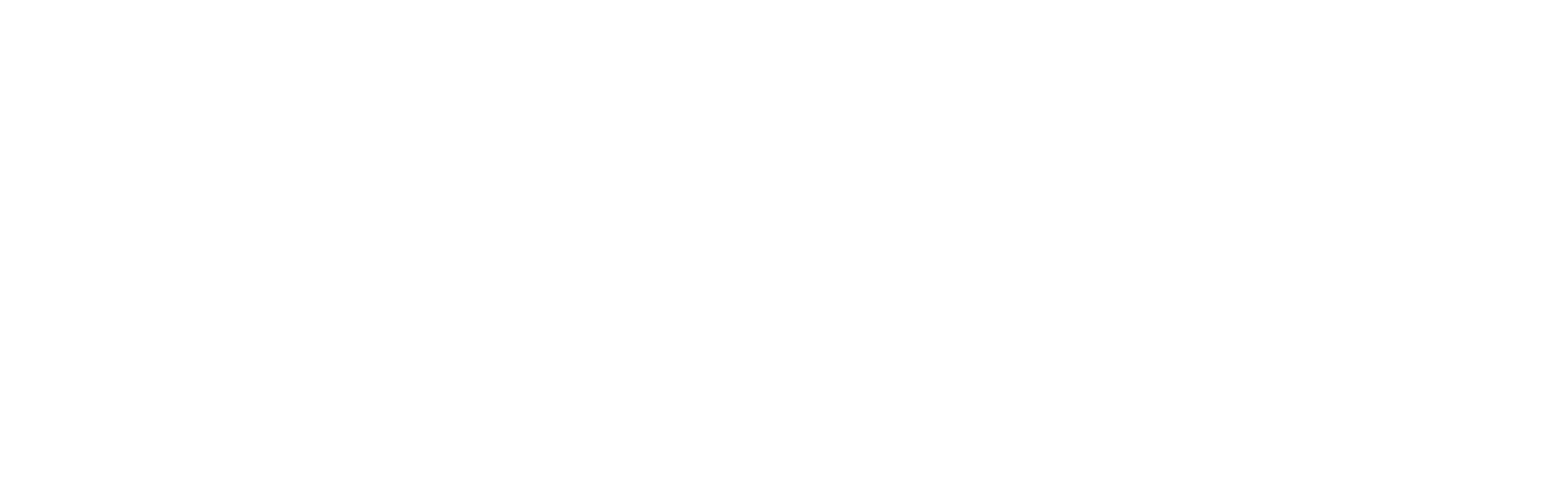 The Safety Profit Foundation